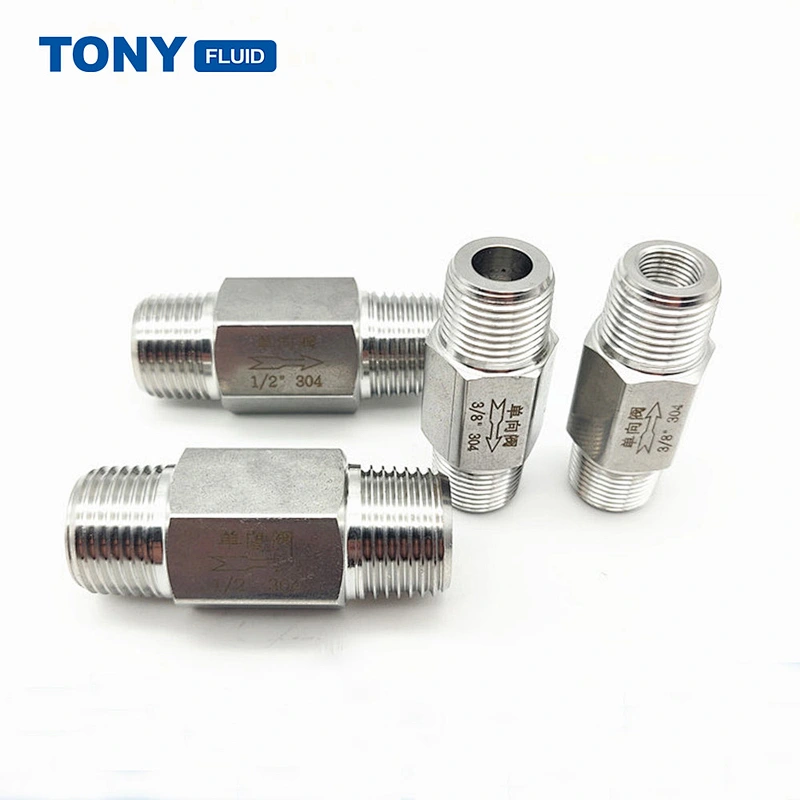 Manufacturer Straight Spring Loaded Male Threaded One Way Check Valve