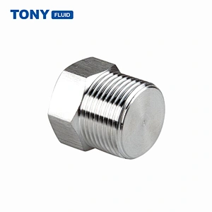 Multiple Types Stainless Steel SS304 SS316 Hex Plug Male Thread Pipe Plug