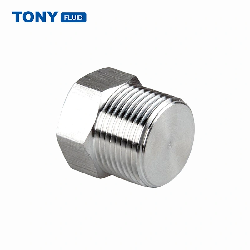 Multiple Types Stainless Steel SS304 SS316 Hex Plug Male Thread Pipe Plug