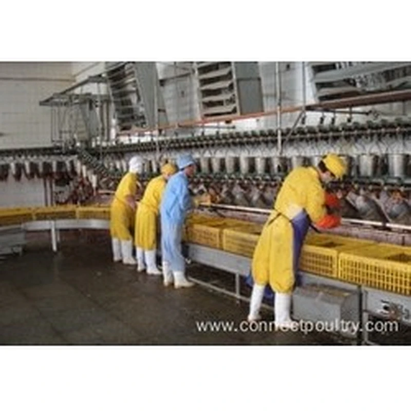 Overhead line for poultry processing plant