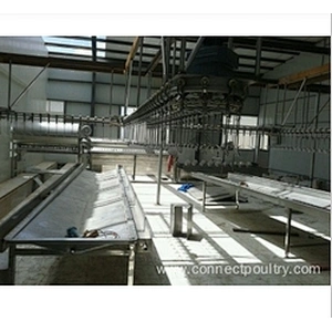 Chicken processing line Gizzard de-fatter Fat removing machine  poultry dressing equipment