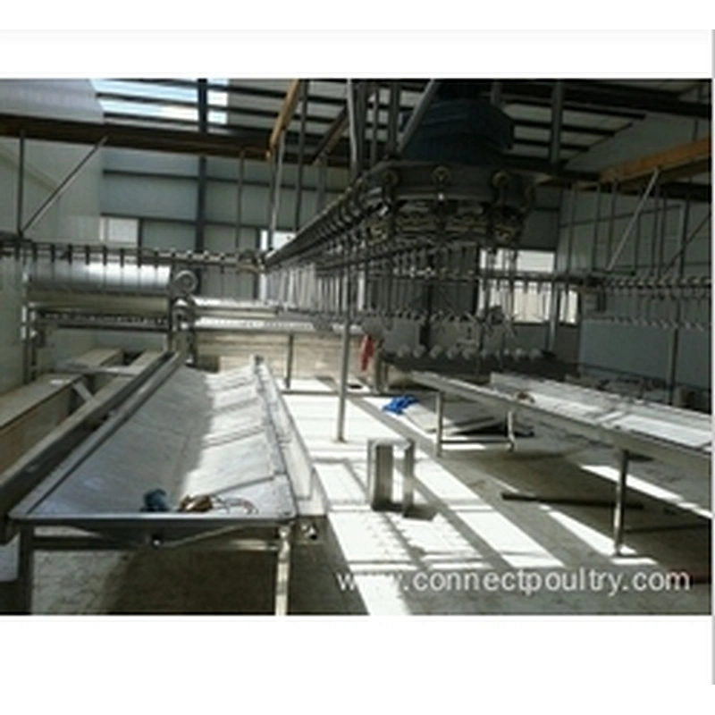 Chicken processing line Gizzard de-fatter Fat removing machine  poultry dressing equipment