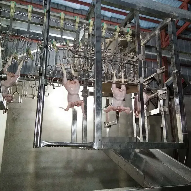 Auto Chicken Feet Cutting Machine poultry processing equipment