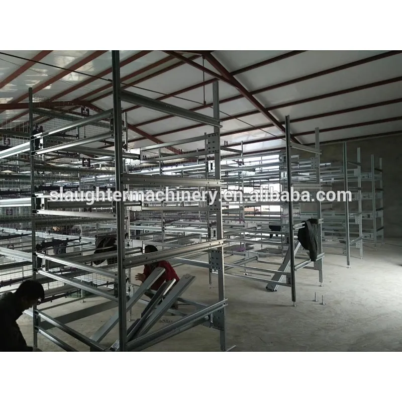 Complete Automatic Pullets Rearing Cages System Poultry Farming Equipment Breeding Chicken Cage System