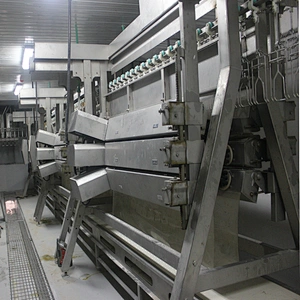 broiler farm application 380V professional factory price slaughter equipment