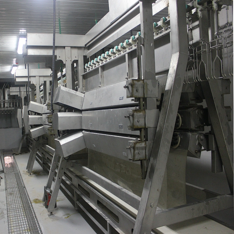 broiler farm application 380V professional factory price slaughter equipment
