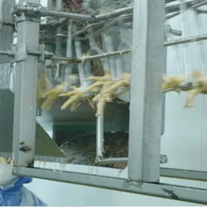 Automatic Feet Unload Machine Poultry slaughering processing equipment