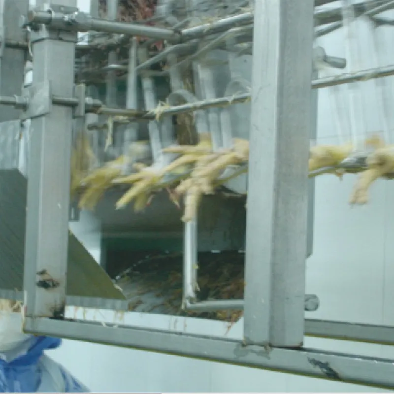 Automatic Feet Unload Machine Poultry slaughering processing equipment