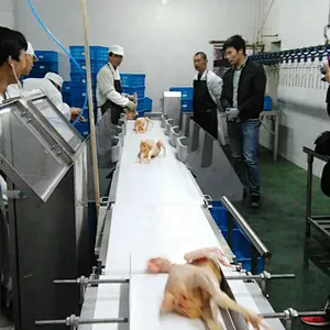 Weighing  & Grading system for poultry chicken processing line Abattoirs plant machinery