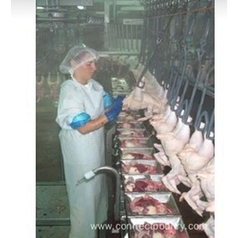 Semi-Automatic Evisceration System for  Chicken  poultry processing line Stainless steel 304 material Quality plucker