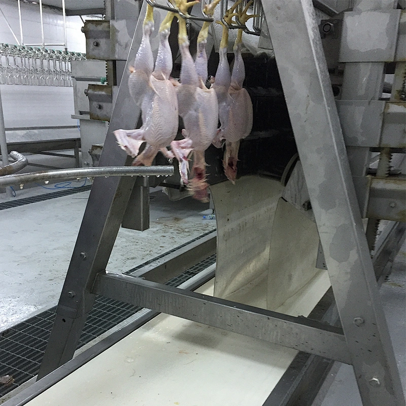 high quality Automatic poultry Slaughtering house feather plucking removing equipment