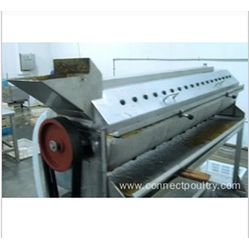 Chicken processing line Gizzard de-fatter Fat removing machine  poultry dressing equipment