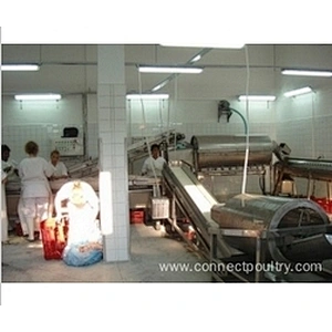 Automatic Large Quantity Chicken feet processing line Slaughethouse Equipment