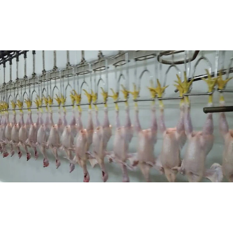 Slaughter Conveyor Line equipment for poultry slaughter house