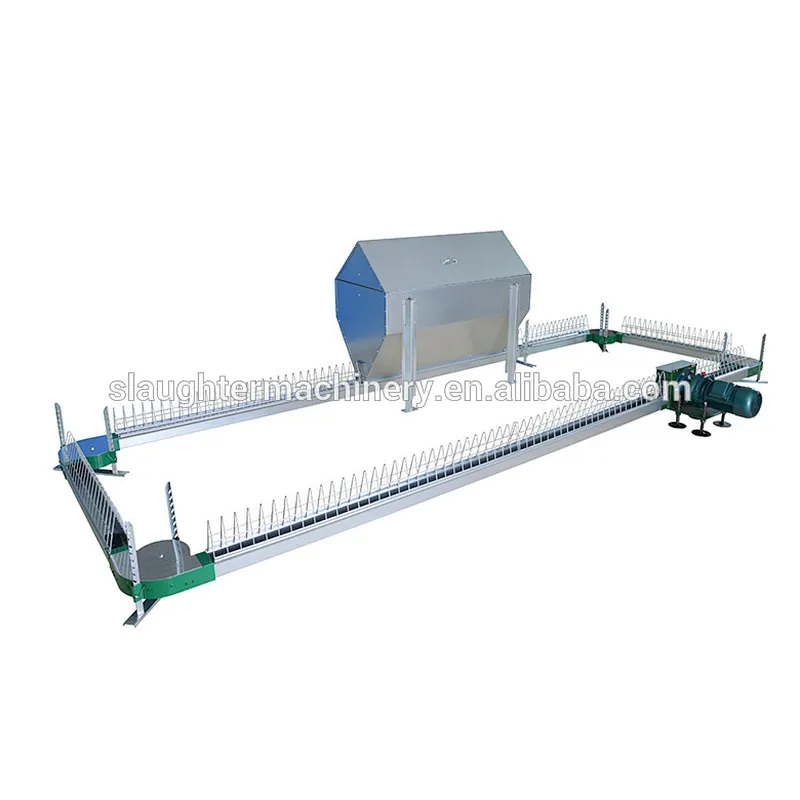 Breeder chain feeding System for poultry farming equipment