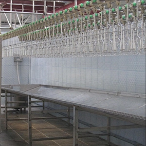 high quality poultry farm chicken slaughterhouse bleeding trough processing line equipment