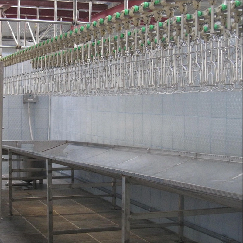 high quality poultry farm chicken slaughterhouse bleeding trough processing line equipment