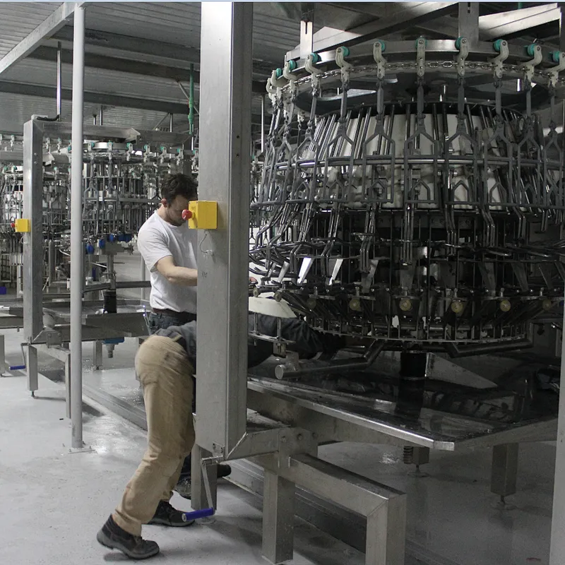 Auto eviscerator equipment for chicken slaughterhouse