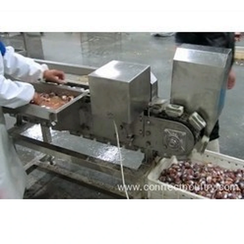 poultry processing supplies Poultry Gizzard Processing Machine Gizzard Cutter in chicken processing line