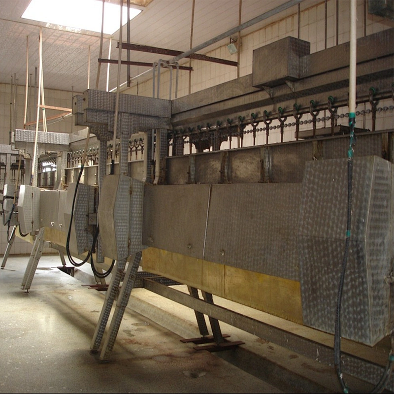 halal slaughterhouse chicken feather cleaning pluckin machine for chicken quail duck goose
