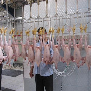 high quality Automatic poultry Slaughter frequency conversion controlling overhead conveyor line hanger equipment