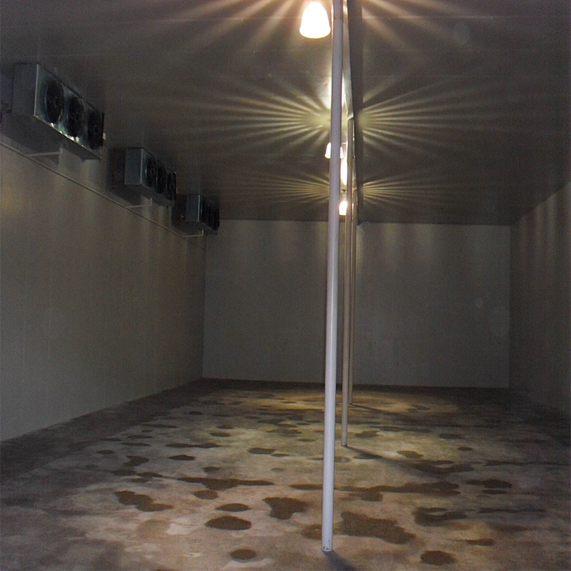 CE Approved Quality Polyurethane insulated Freezer Room For Cold Storage with Bitzer Compressor