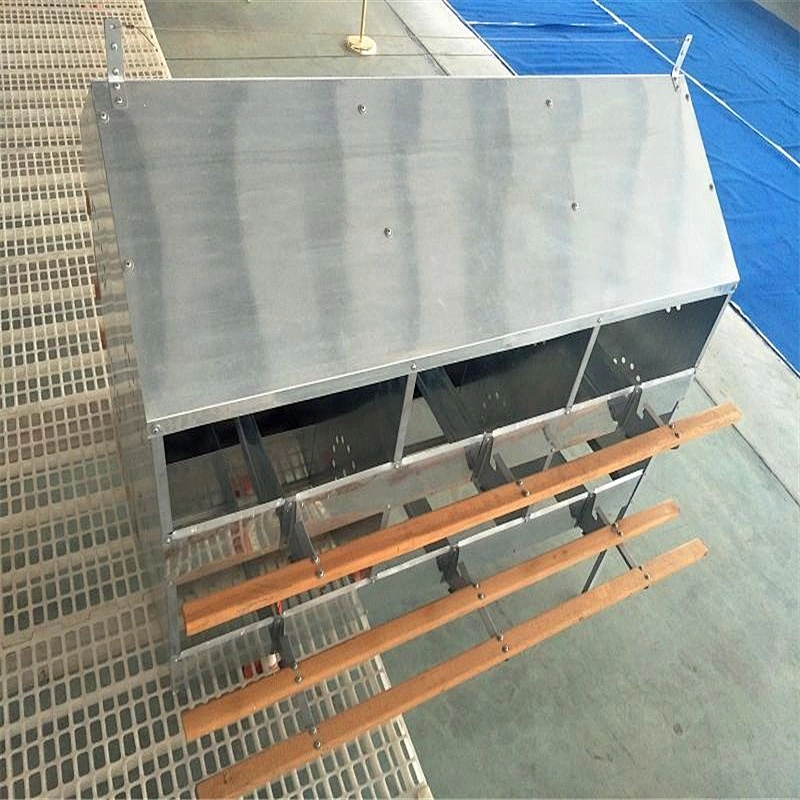Galvanized steel  Material and 24holes egg nest box Capacity 120-168pcs hens
