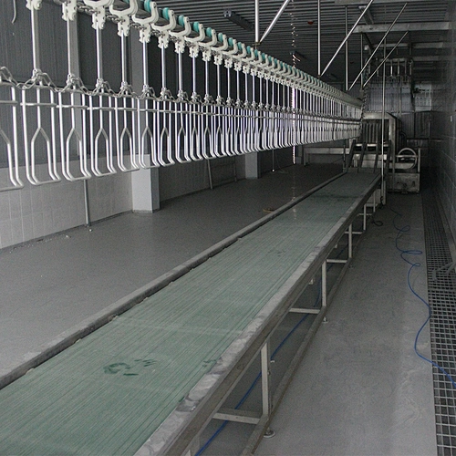 2019 Small Chicken Slaughtering scalding Defeathering Quail Poultry Processing Plant crate belt conveyor Machine