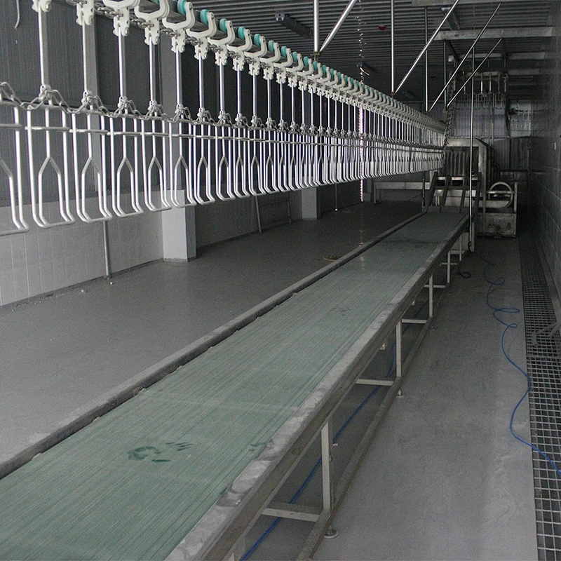 2019 Small Chicken Slaughtering scalding Defeathering Quail Poultry Processing Plant crate belt conveyor Machine