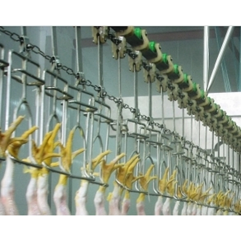 Overhead Conveyor system chicken slaughterhouse