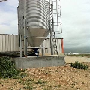 Feed Silo for Chicken house shed feeding equipment