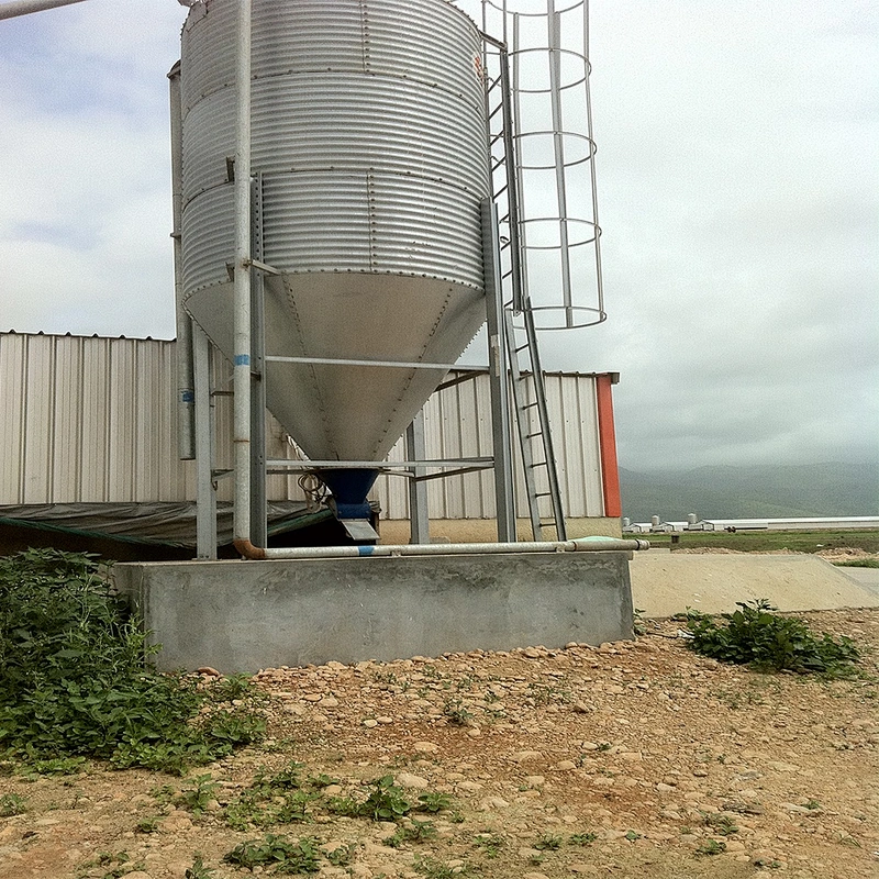 Feed Silo for Chicken house shed feeding equipment