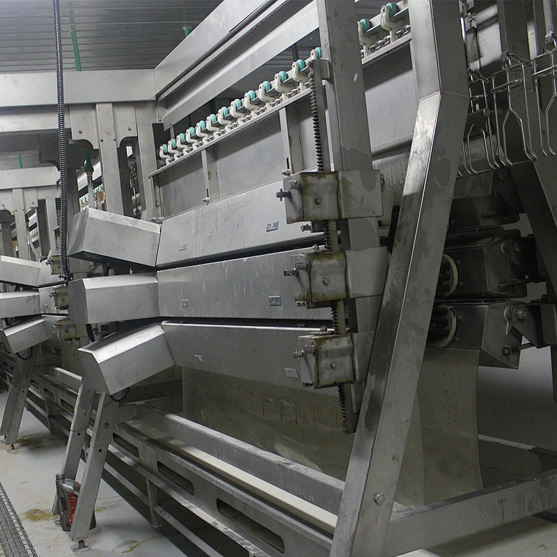 Customized Complete chicen farm turnkey project slaughterhouse processing plant feather plucking removal machinery