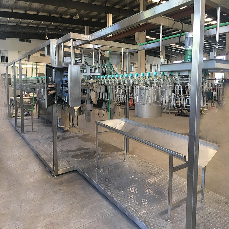 small capacity 200BPH compact chicken poultry butcher slaughterhouse machinery