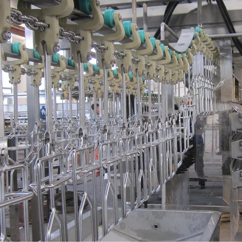 1000BPH 3000BPH 6000BPH Automatic complete Poultry processing line slaughter machinery