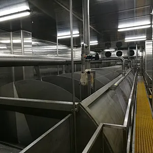 1000BPH Semi Automatic complete chicken quail goose duck processing line  machinery stainless steel 304 plucker machine