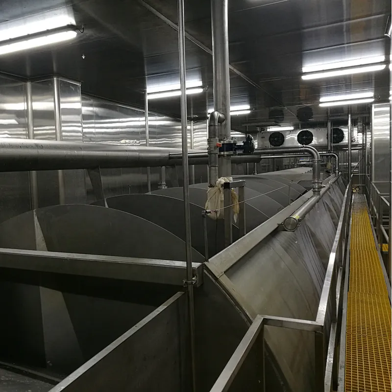 1000BPH Semi Automatic complete chicken quail goose duck processing line  machinery stainless steel 304 plucker machine