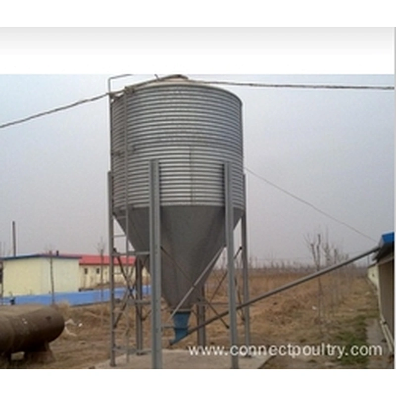 Feed Silo for Chicken house shed feeding equipment
