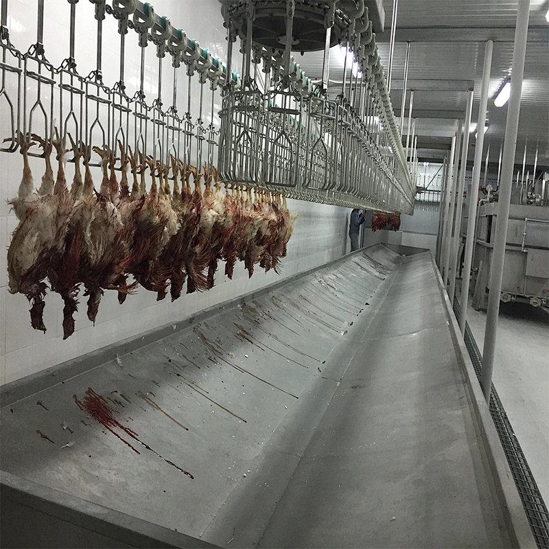 poultry slaughterhouse machine for chicken