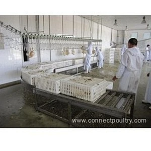 Crates Roller conveyor for poultry processing plant in live Birds Receiving Machinery