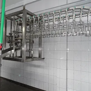 Abattoir chicken Conveyor Line for Poultry processing plant machinery