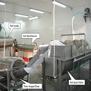 Automatic Large Quantity Chicken feet processing line Slaughethouse Equipment