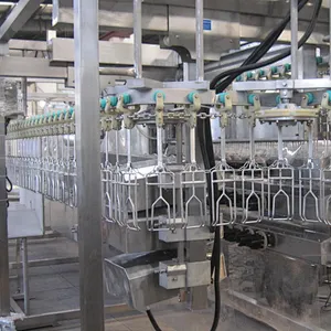 1000BPH 3000BPH 6000BPH Automatic complete Poultry processing line slaughter machinery