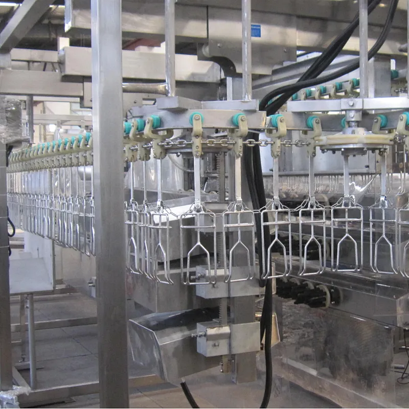 1000BPH 3000BPH 6000BPH Automatic complete Poultry processing line slaughter machinery