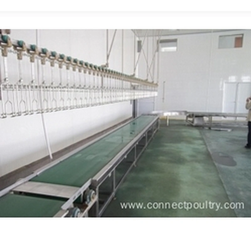 Crates conveyor for Birds receiving machine poultry processing plant equipment