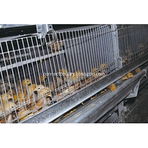 Battery Cage Pullets Rearing Equipment for chicken house shed of poultry farm