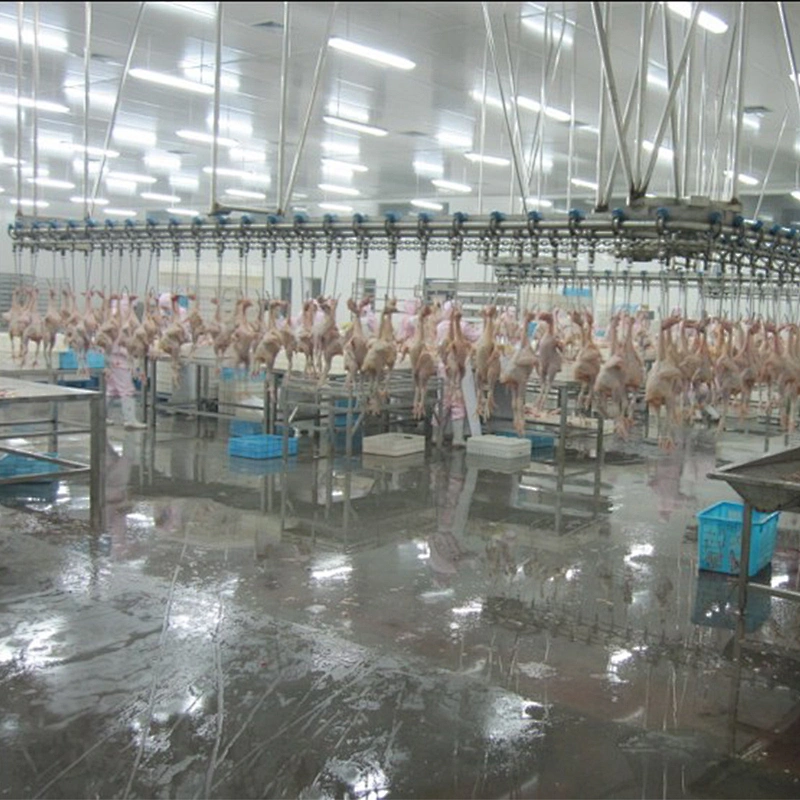500BPH 1000BPH 3000BPH 6000BPH 12000BPH  full automatic poultry overhead slaughter house conveyor line equipment