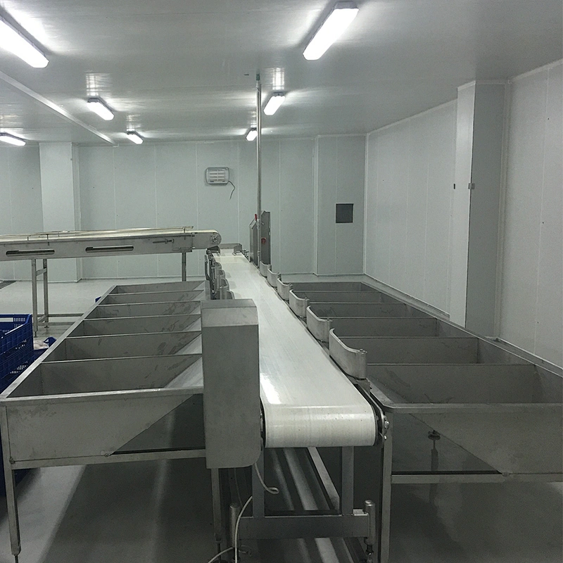 500BPH capacity China halal chicken slaughtering house plucking machine and poultry belt weight scale and grading equipment