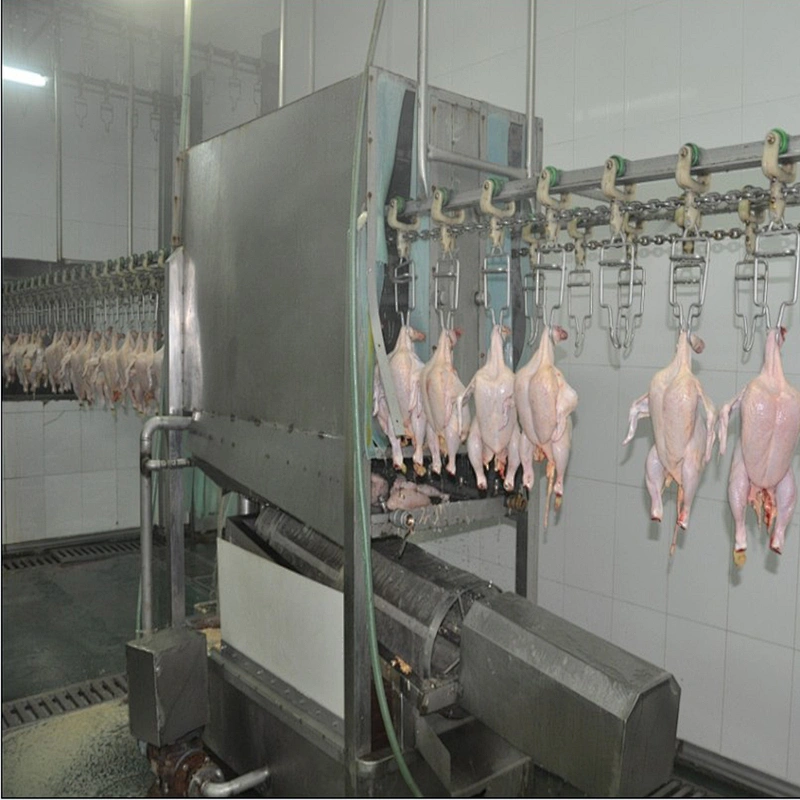 birds slaughter machine for slaughterhouse equipment