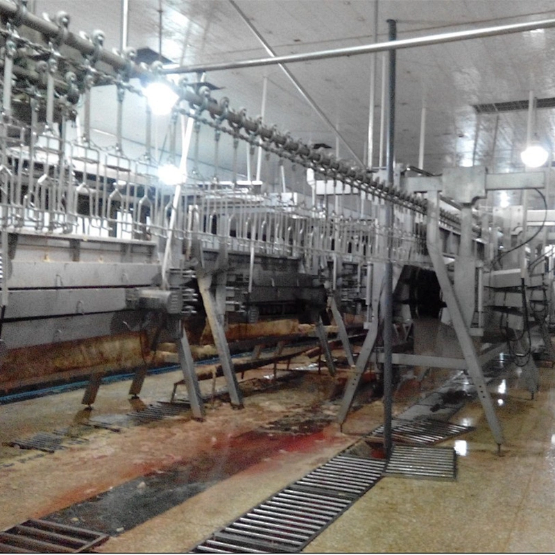 Poultry processing equipment